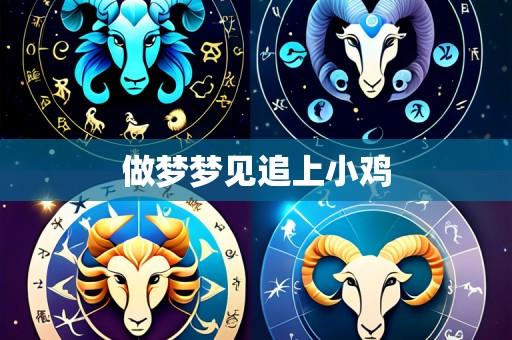 做梦梦见追上小鸡