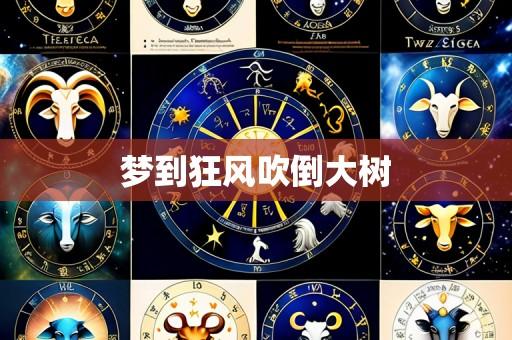 梦到狂风吹倒大树