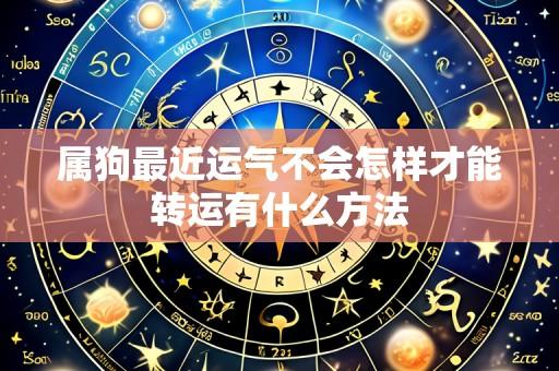 属狗最近运气不会怎样才能转运有什么方法