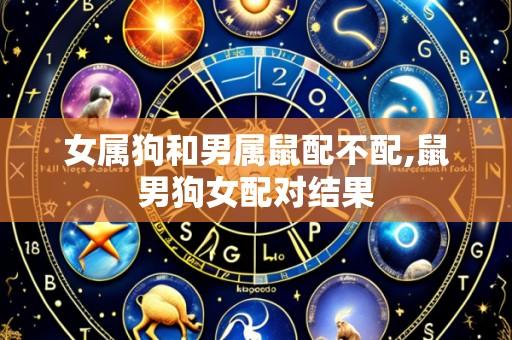 女属狗和男属鼠配不配,鼠男狗女配对结果