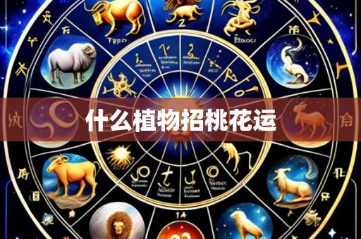 什么植物招桃花运