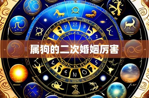 属狗的二次婚姻厉害