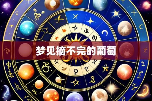 梦见摘不完的葡萄