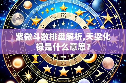 紫微斗数排盘解析,天梁化禄是什么意思?