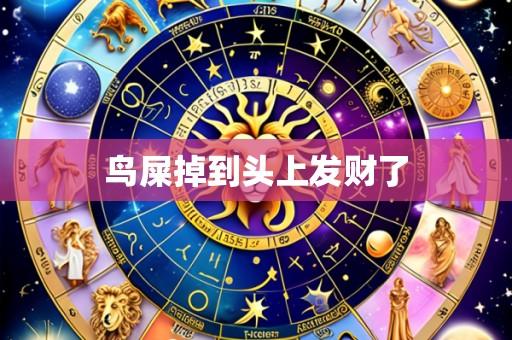鸟屎掉到头上发财了