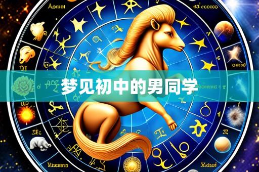 梦见初中的男同学