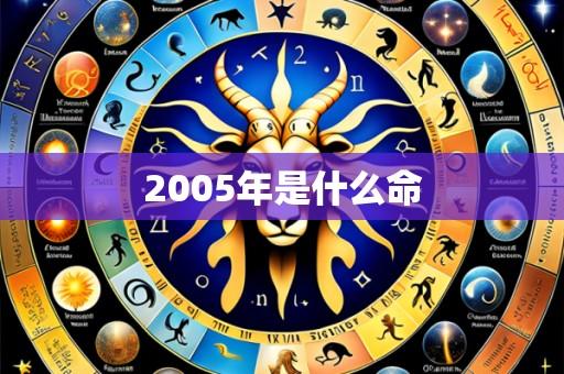 2005年是什么命