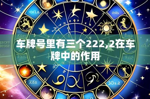 车牌号里有三个222,2在车牌中的作用