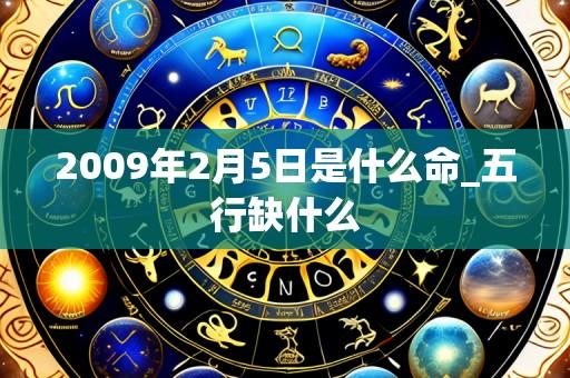 2009年2月5日是什么命_五行缺什么