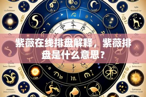 紫薇在线排盘解释,紫薇排盘是什么意思?