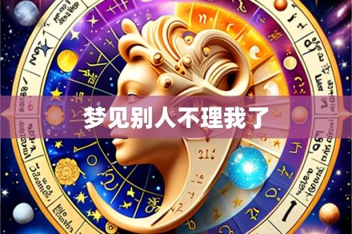 梦见别人不理我了