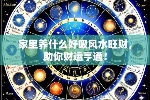 家里养什么好吸风水旺财,助你财运亨通!