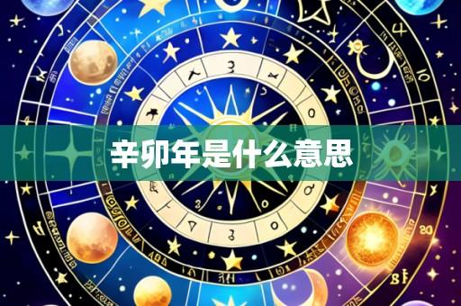 辛卯年是什么意思