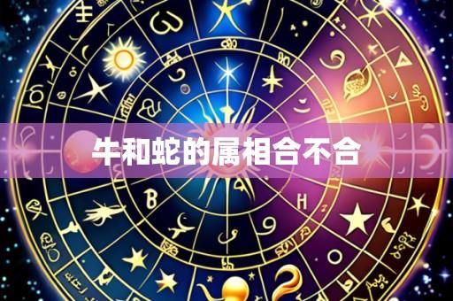 牛和蛇的属相合不合
