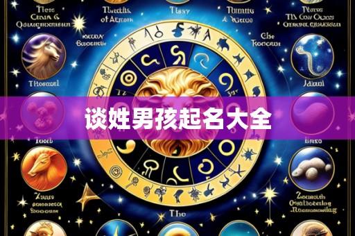 谈姓男孩起名大全