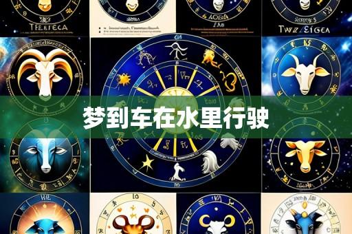 梦到车在水里行驶