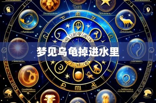 梦见乌龟掉进水里