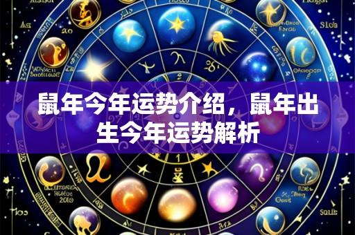 鼠年今年运势介绍,鼠年出生今年运势解析