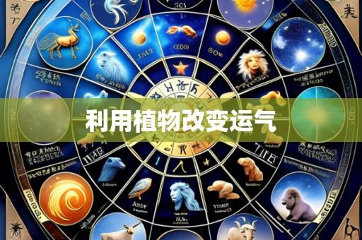 利用植物改变运气