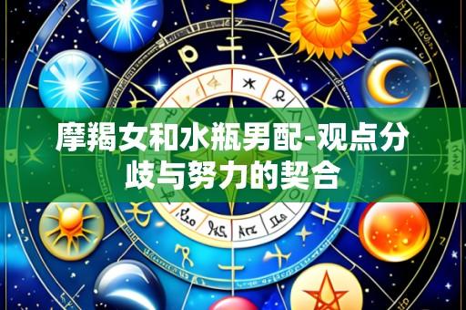 摩羯女和水瓶男配-观点分歧与努力的契合