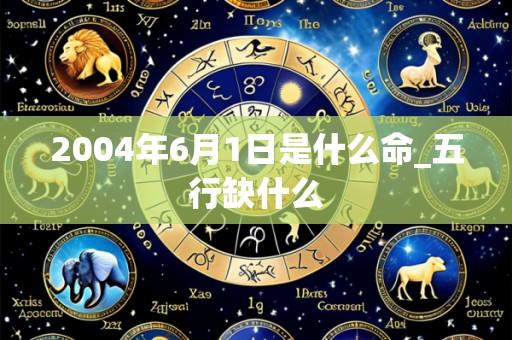 2004年6月1日是什么命_五行缺什么
