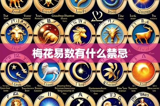 梅花易数有什么禁忌