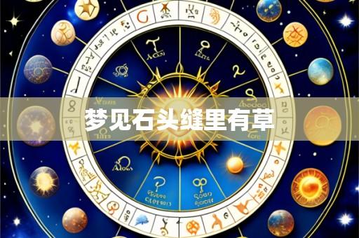 梦见石头缝里有草