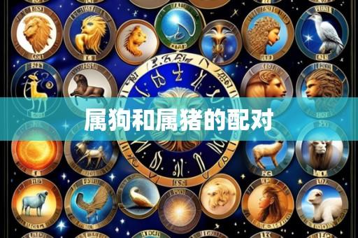 属狗和属猪的配对