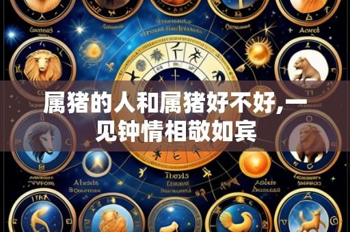 属猪的人和属猪好不好,一见钟情相敬如宾