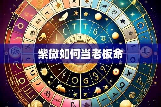 紫微如何当老板命
