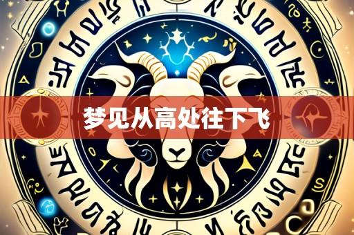 梦见从高处往下飞