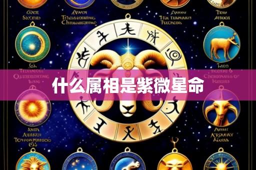 什么属相是紫微星命