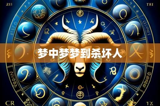 梦中梦梦到杀坏人