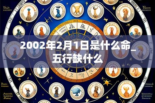 2002年2月1日是什么命_五行缺什么