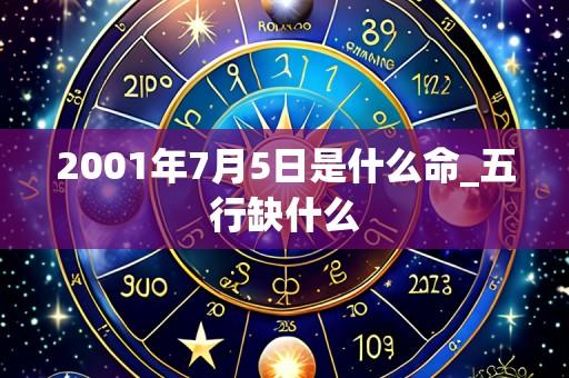 2001年7月5日是什么命_五行缺什么