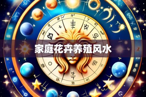 家庭花卉养殖风水