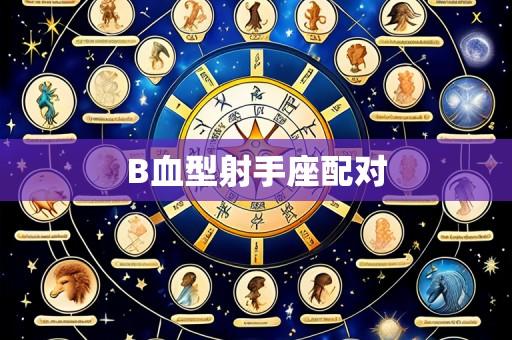 B血型射手座配对