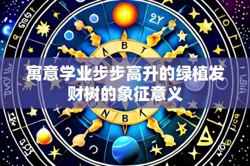 寓意学业步步高升的绿植发财树的象征意义