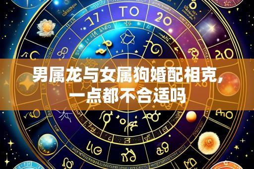 男属龙与女属狗婚配相克,一点都不合适吗