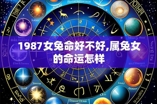 1987女兔命好不好,属兔女的命运怎样