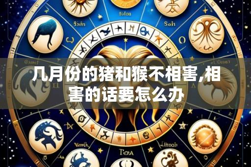 几月份的猪和猴不相害,相害的话要怎么办