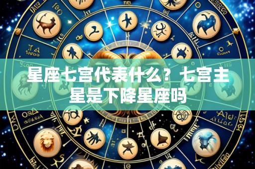 星座七宫代表什么?七宫主星是下降星座吗