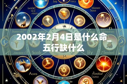 2002年2月4日是什么命_五行缺什么
