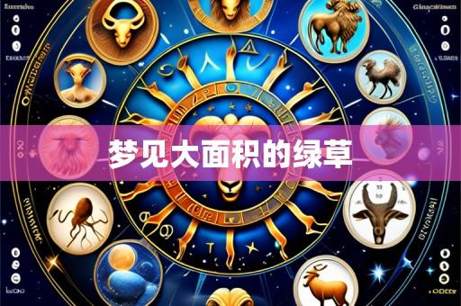 梦见大面积的绿草