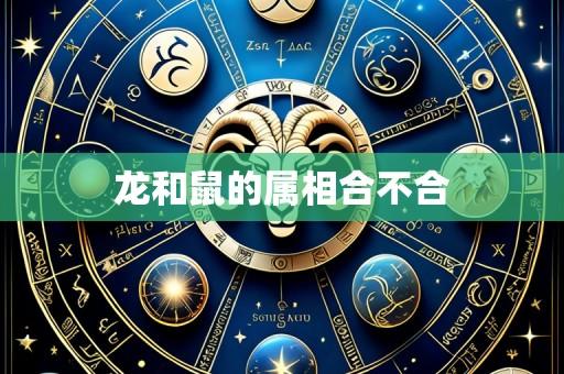 龙和鼠的属相合不合