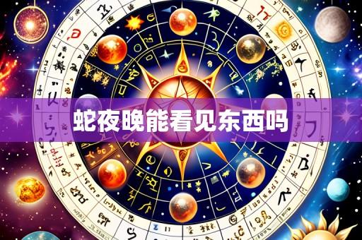 蛇夜晚能看见东西吗