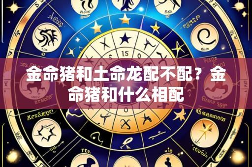 金命猪和土命龙配不配?金命猪和什么相配