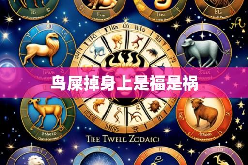 鸟屎掉身上是福是祸