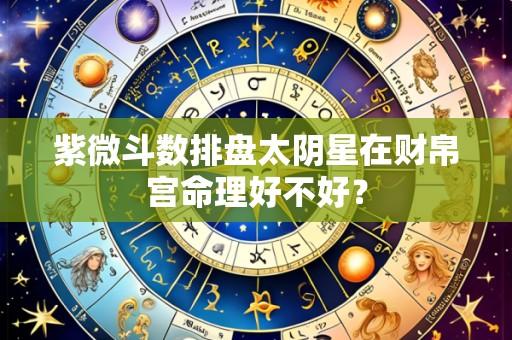 紫微斗数排盘太阴星在财帛宫命理好不好?