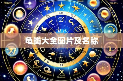 龟类大全图片及名称